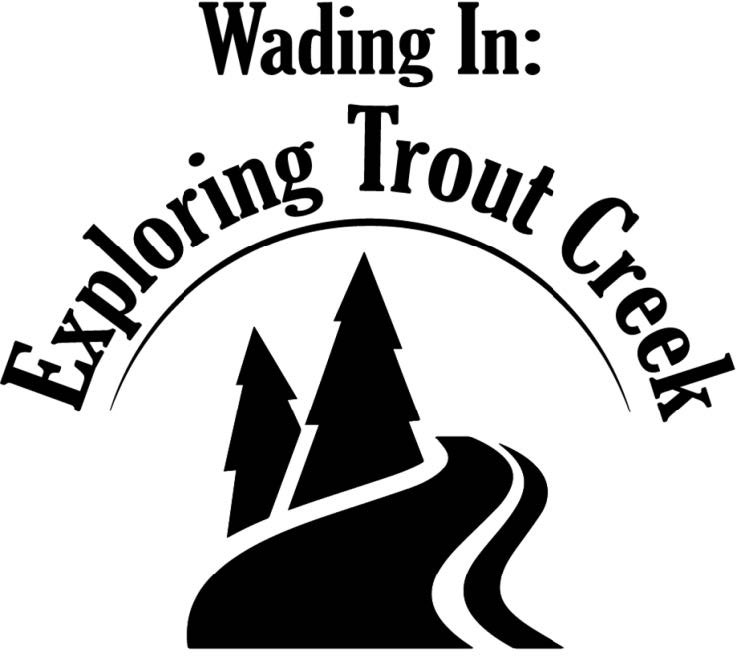 Wading In: Exploring Trout Creek - Sussex, New Brunswick
